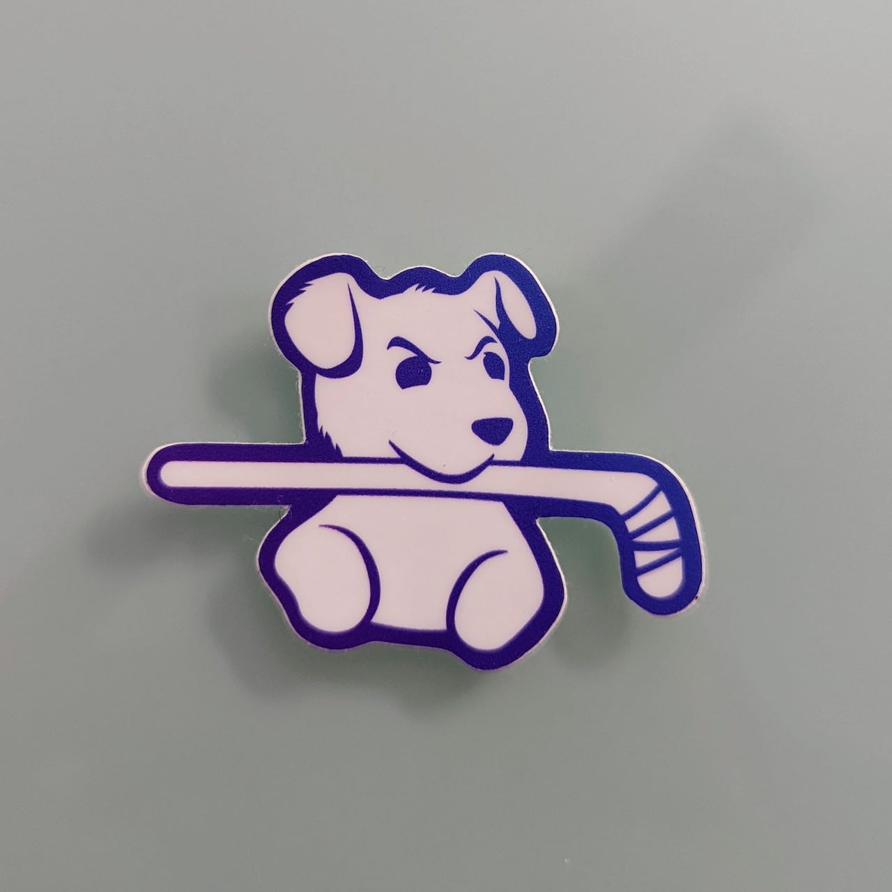 Hockey Bits